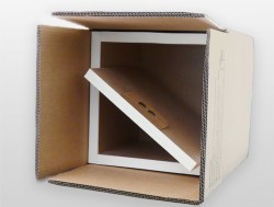 4GV isothermal cases